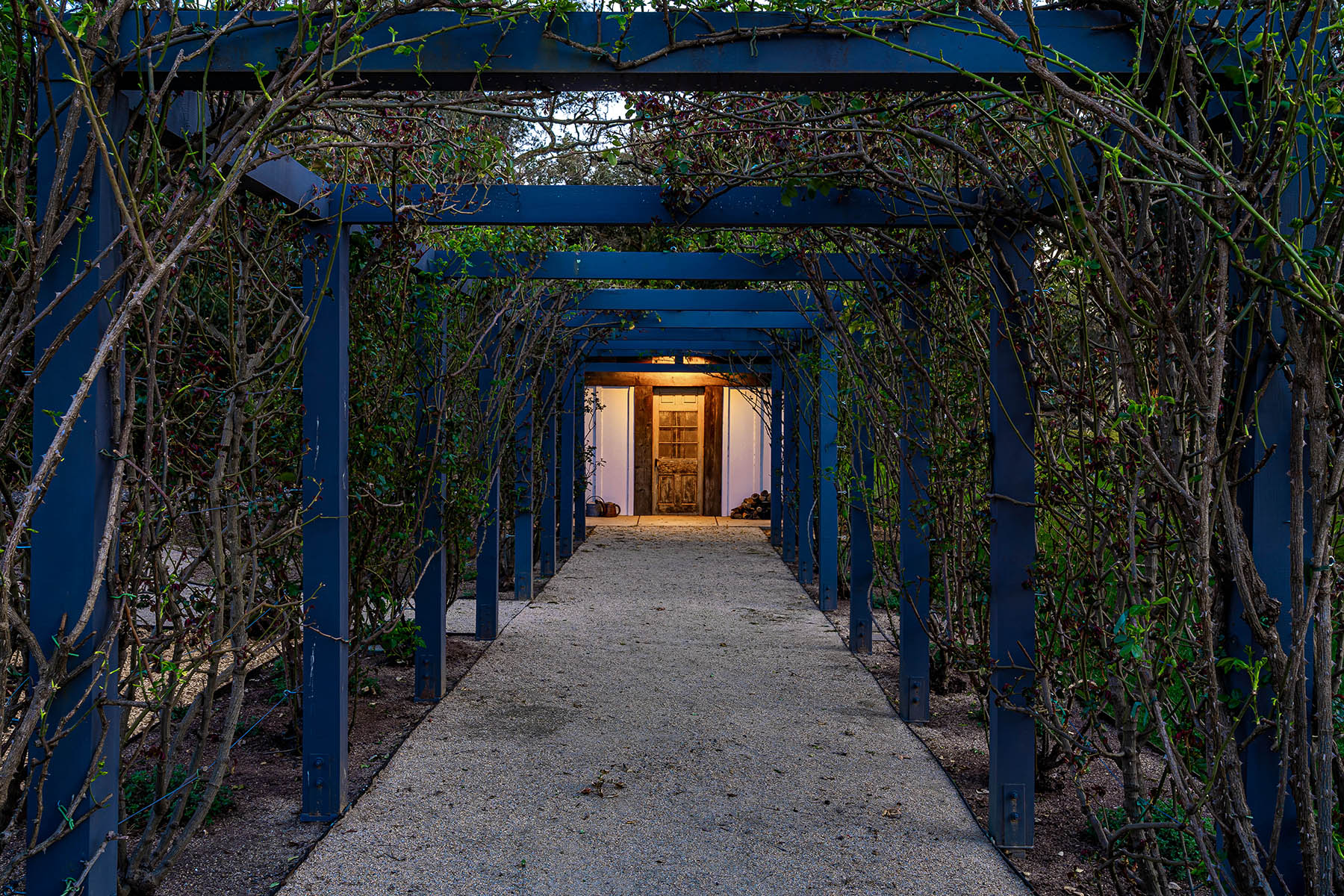 E09 - 255-DSC02537-Enhanced-NR