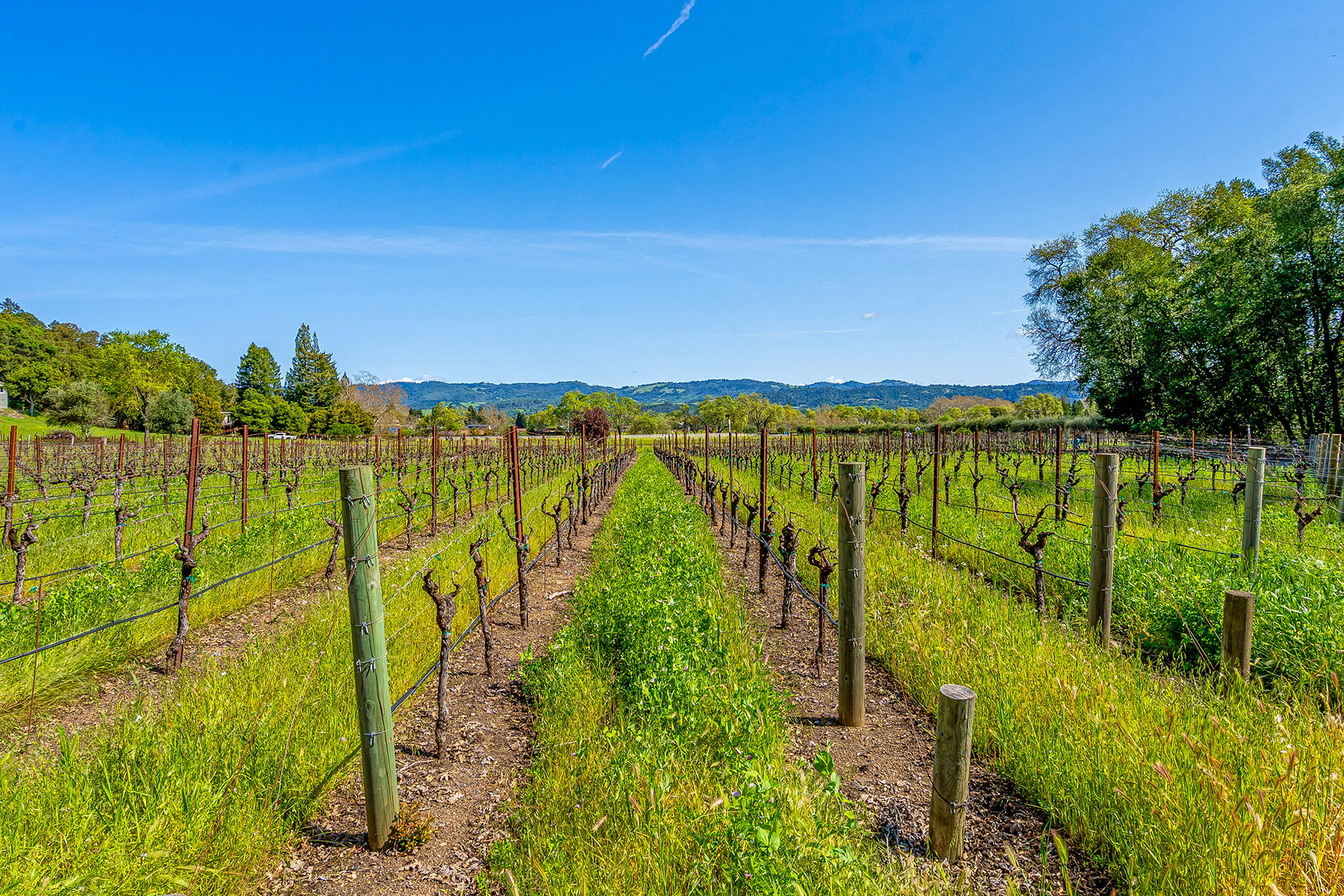 D07 - 111-DSC00993CROPPED