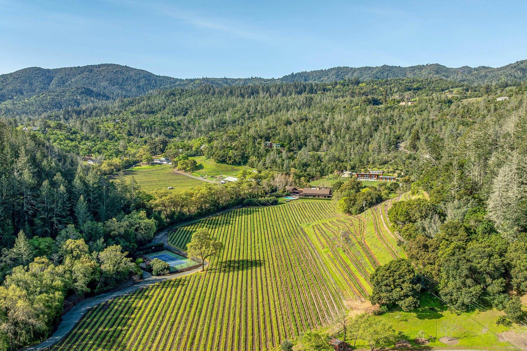 D08 - 232-DJI_0113CROPPED