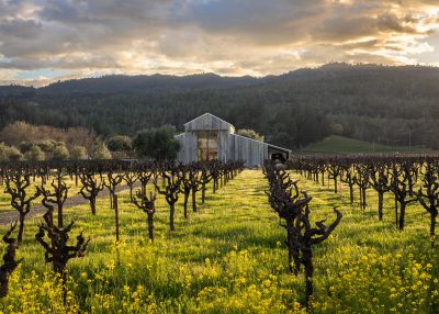 D10 - 1540 Zinfandel, St Helena HR-10
