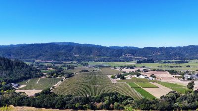 01 - 1300YountMillRoadPhotos_10-27-250000_EDITED_V2