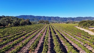 02 - 1300YountMillRoadPhotos_10-27-250006_EDITED