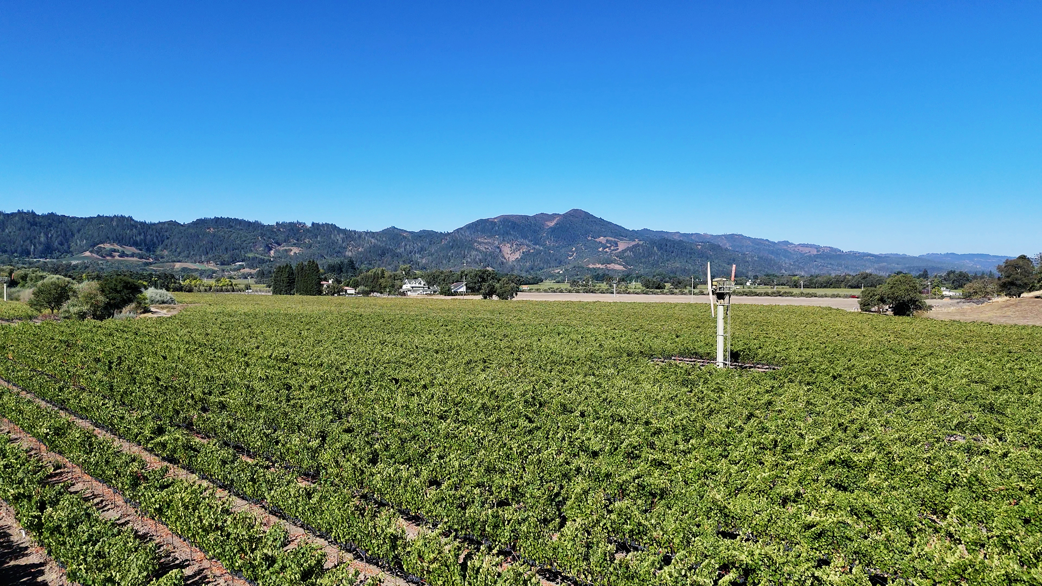 04 - 1300YountMillRoadPhotos_10-27-250013_EDITED