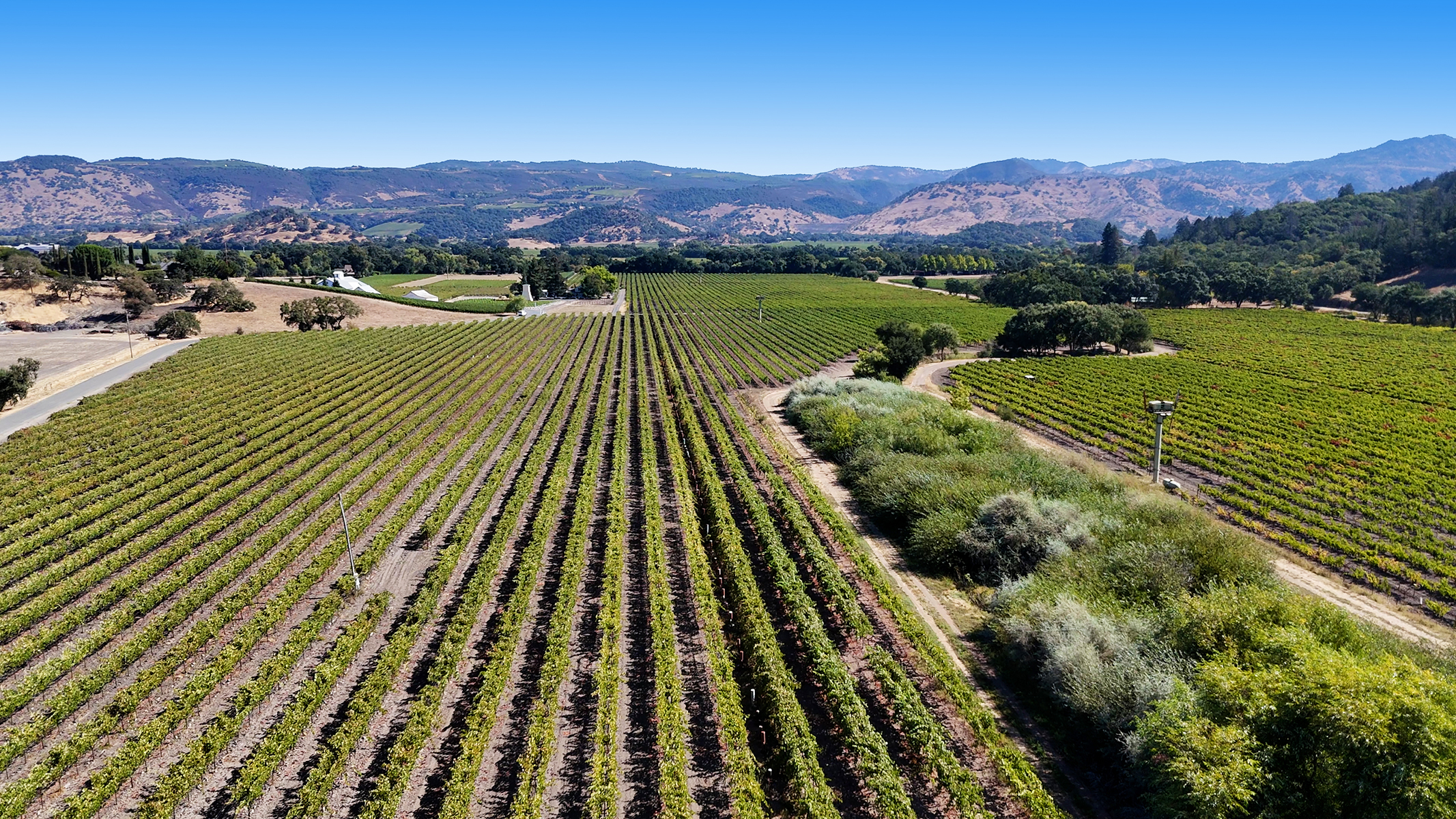 07 - 1300YountMillRoadPhotos_10-27-250018_EDITED