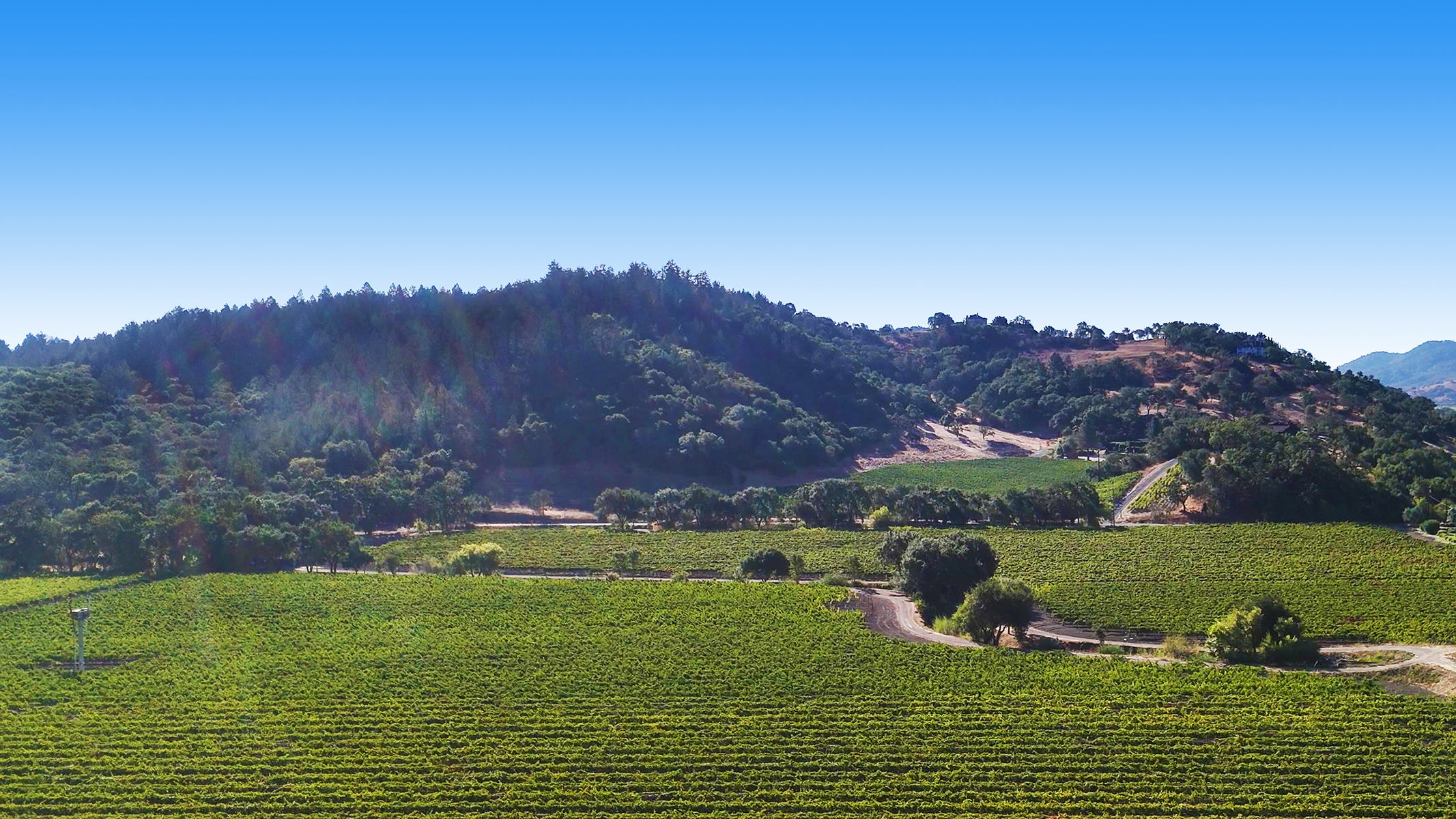 11 - 1300YountMillRoadPhotos_10-27-250022_EDITED