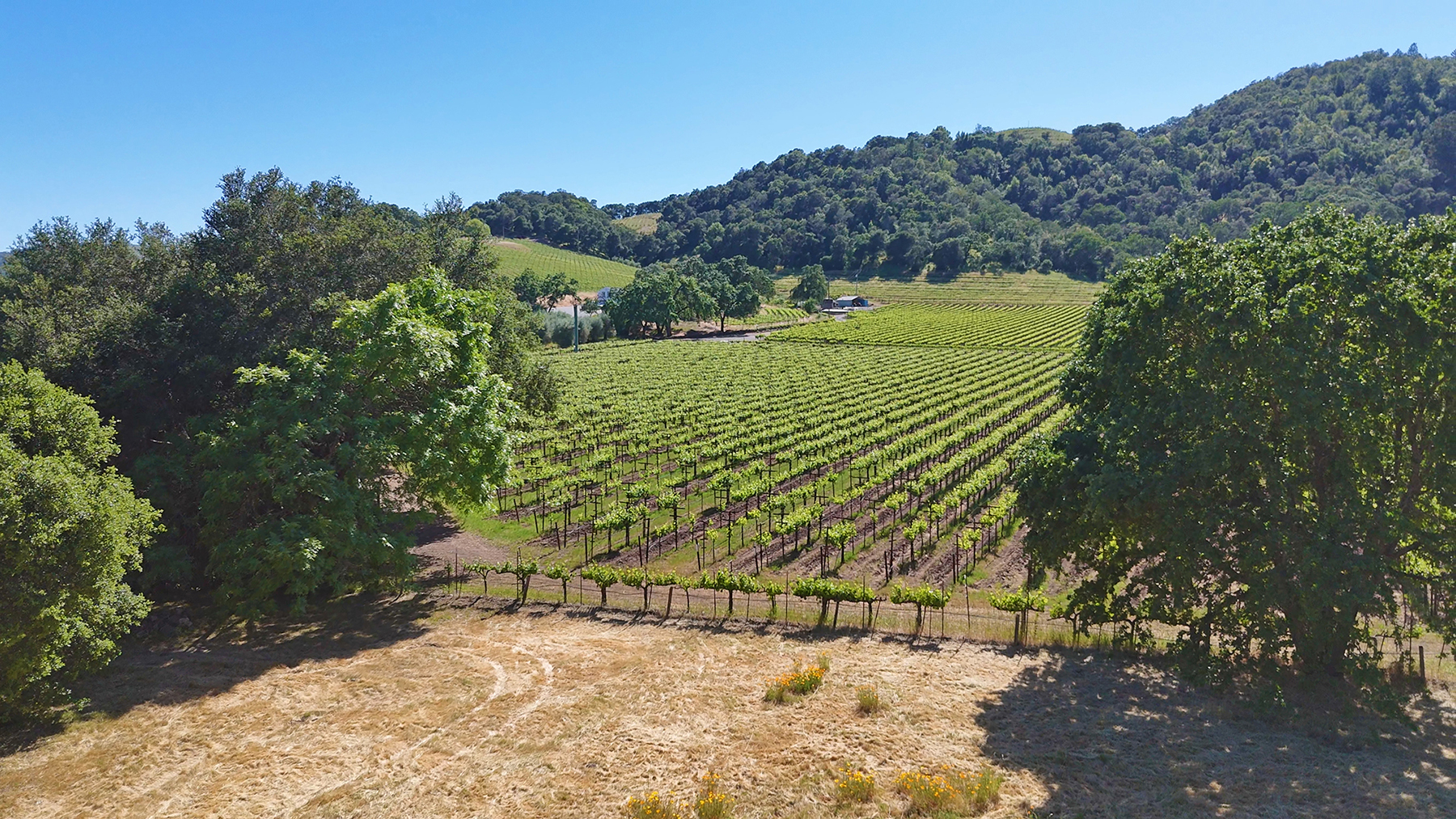 1169DarmsLane_Images22_EDITED