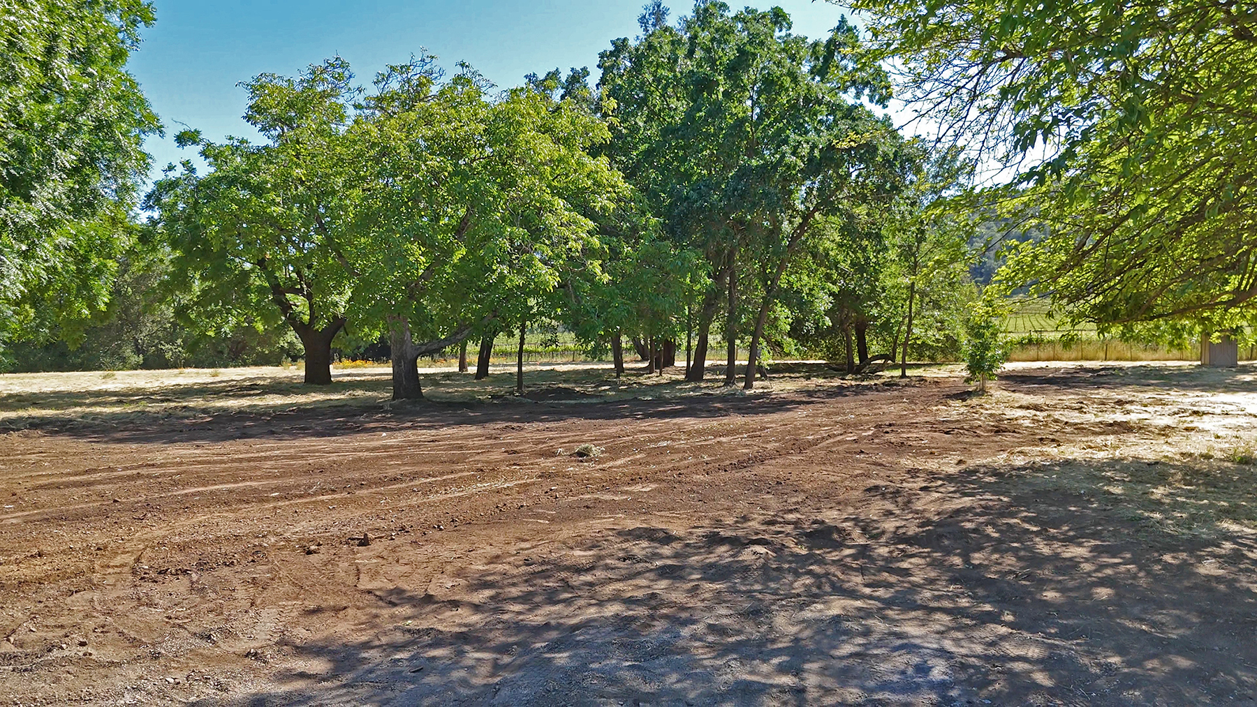 1169DarmsLane_Images23_EDITED