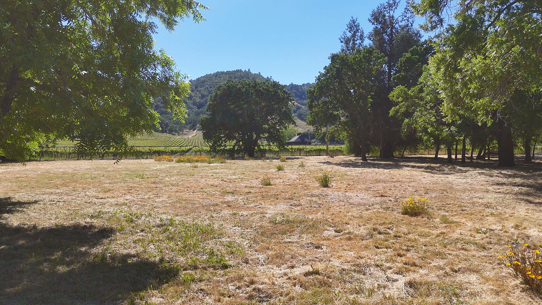 1169DarmsLane_Images25_EDITED