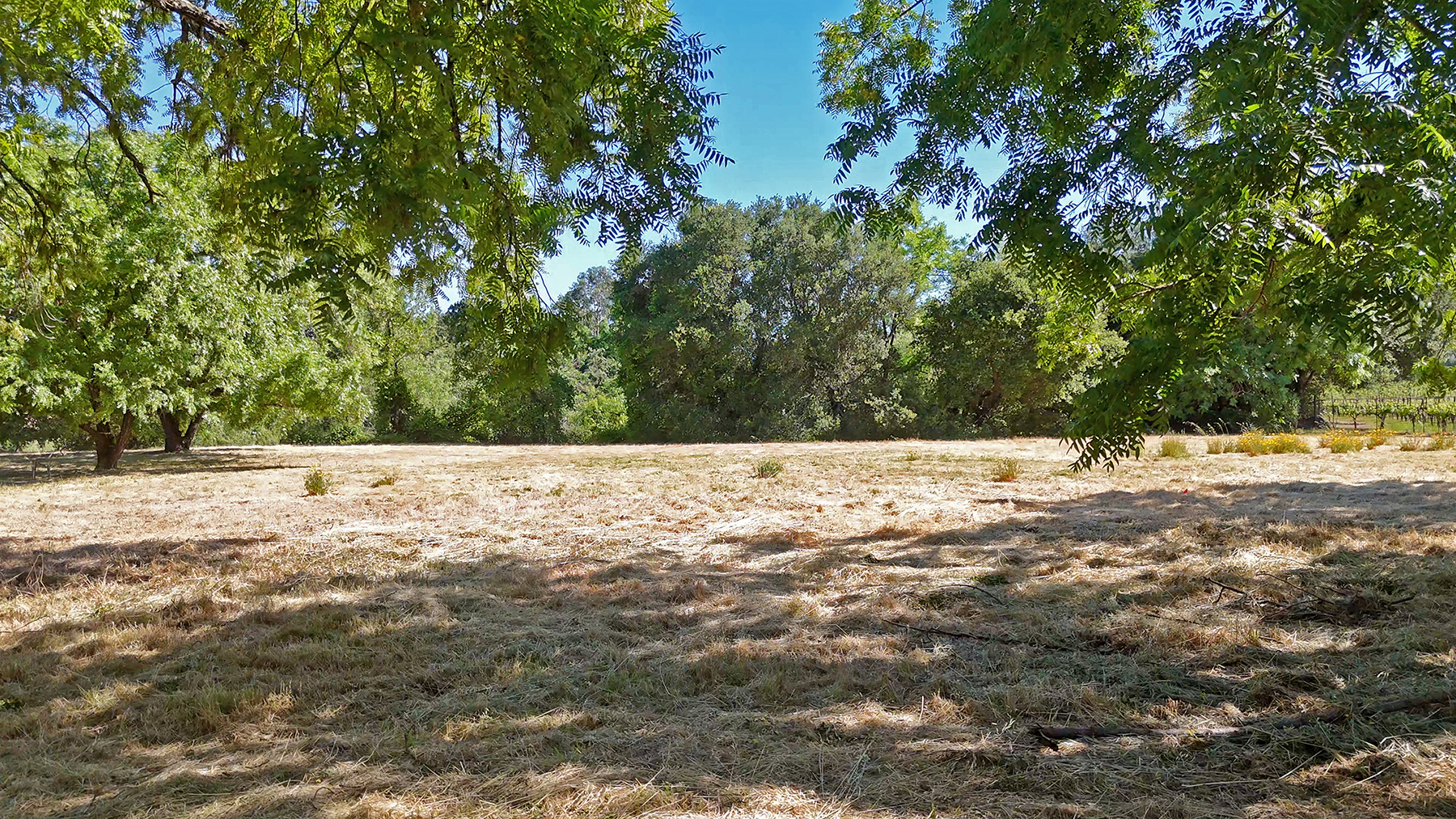 1169DarmsLane_Images34_EDITED