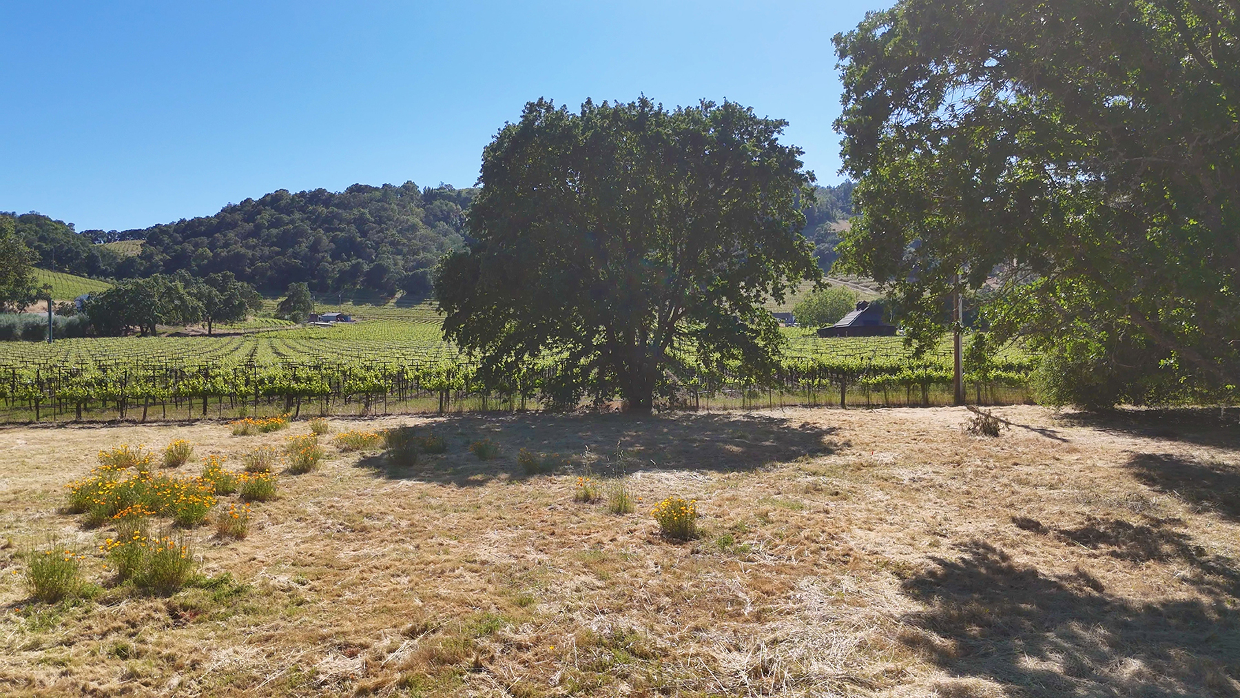 1169DarmsLane_Images53_EDITED