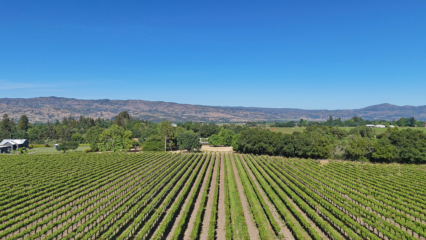 1169DarmsLane_Images69_EDITED