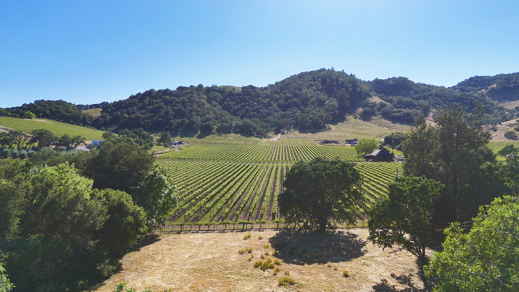 1169DarmsLane_Images74_EDITED