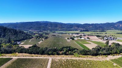 01 - 1300YountMillRoadPhotos_10-27-250000_EDITED