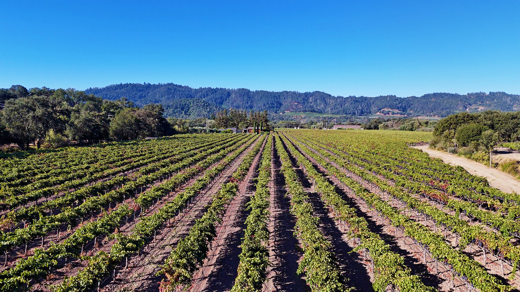 02 - 1300YountMillRoadPhotos_10-27-250006_EDITED