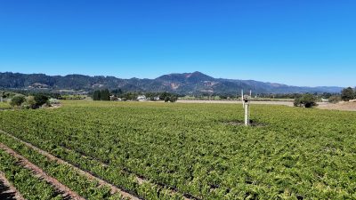 04 - 1300YountMillRoadPhotos_10-27-250013_EDITED