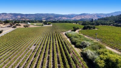 07 - 1300YountMillRoadPhotos_10-27-250018_EDITED