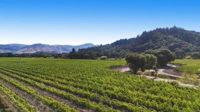 08 - 1300YountMillRoadPhotos_10-27-250020_EDITED