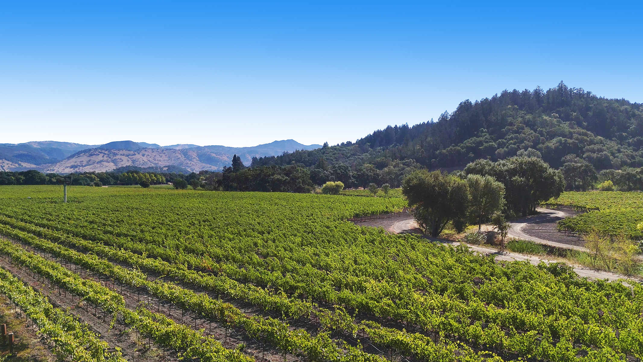 08 - 1300YountMillRoadPhotos_10-27-250020_EDITED