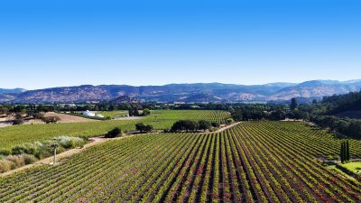 09 - 1300YountMillRoadPhotos_10-27-250021_EDITED