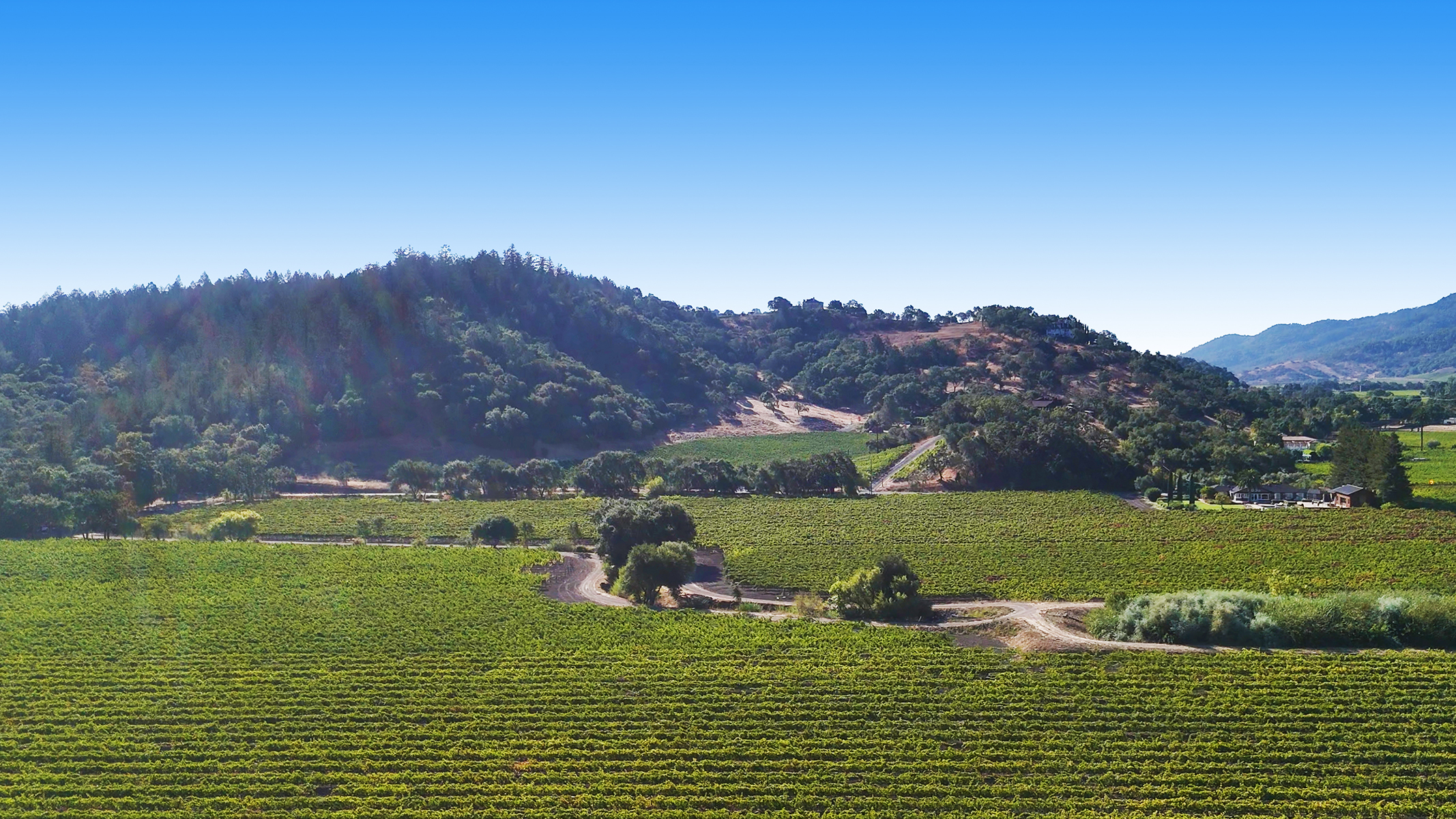 10 - 1300YountMillRoadPhotos_10-27-250_EDITED_V2