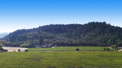 12 - 1300YountMillRoadPhotos_10-27-250023_EDITED