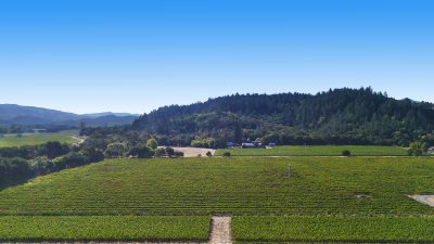 13 - 1300YountMillRoadPhotos_10-27-250024_EDITED