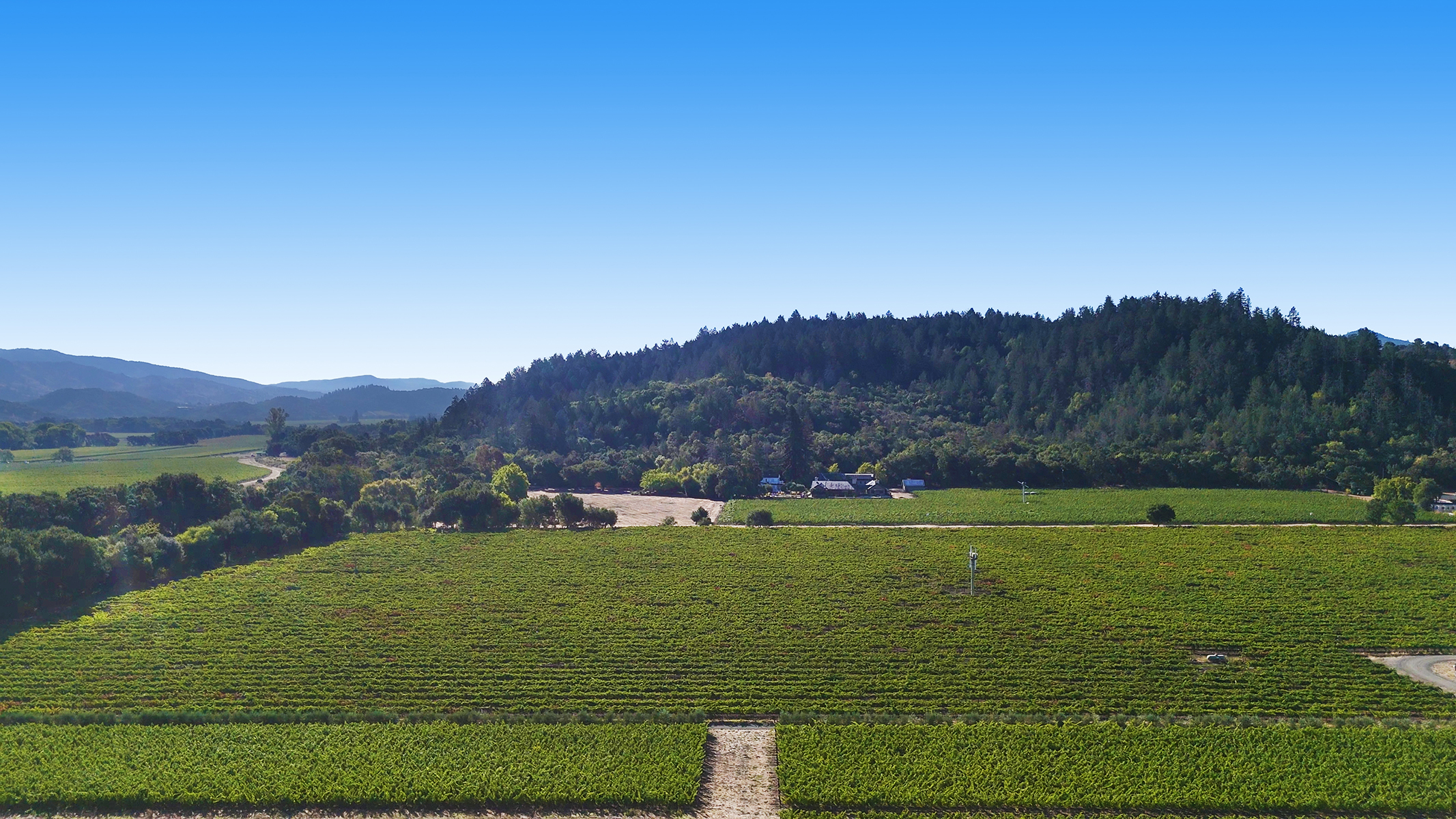 13 - 1300YountMillRoadPhotos_10-27-250024_EDITED