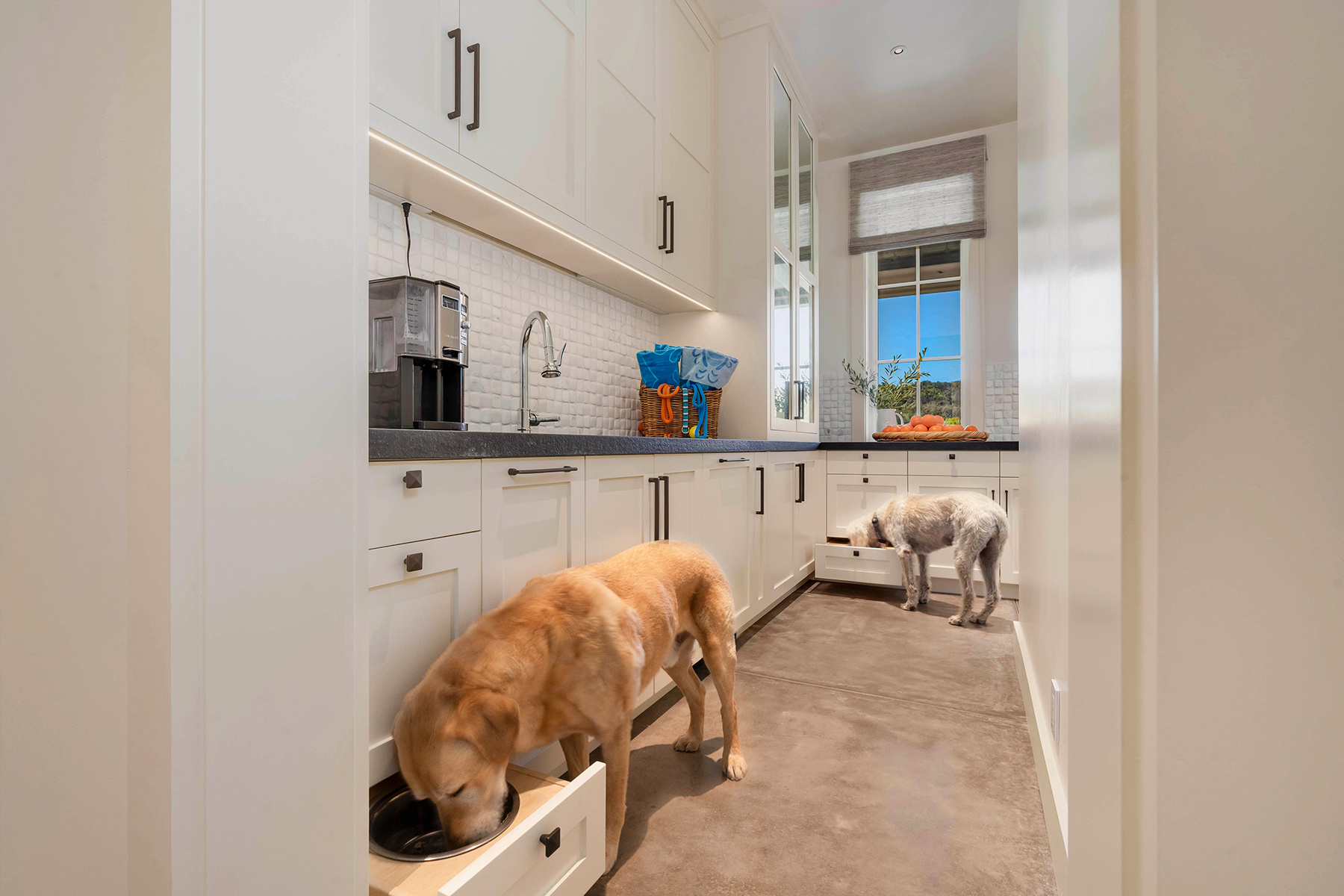 C15 - DSC07133-withdoggies_EDITED