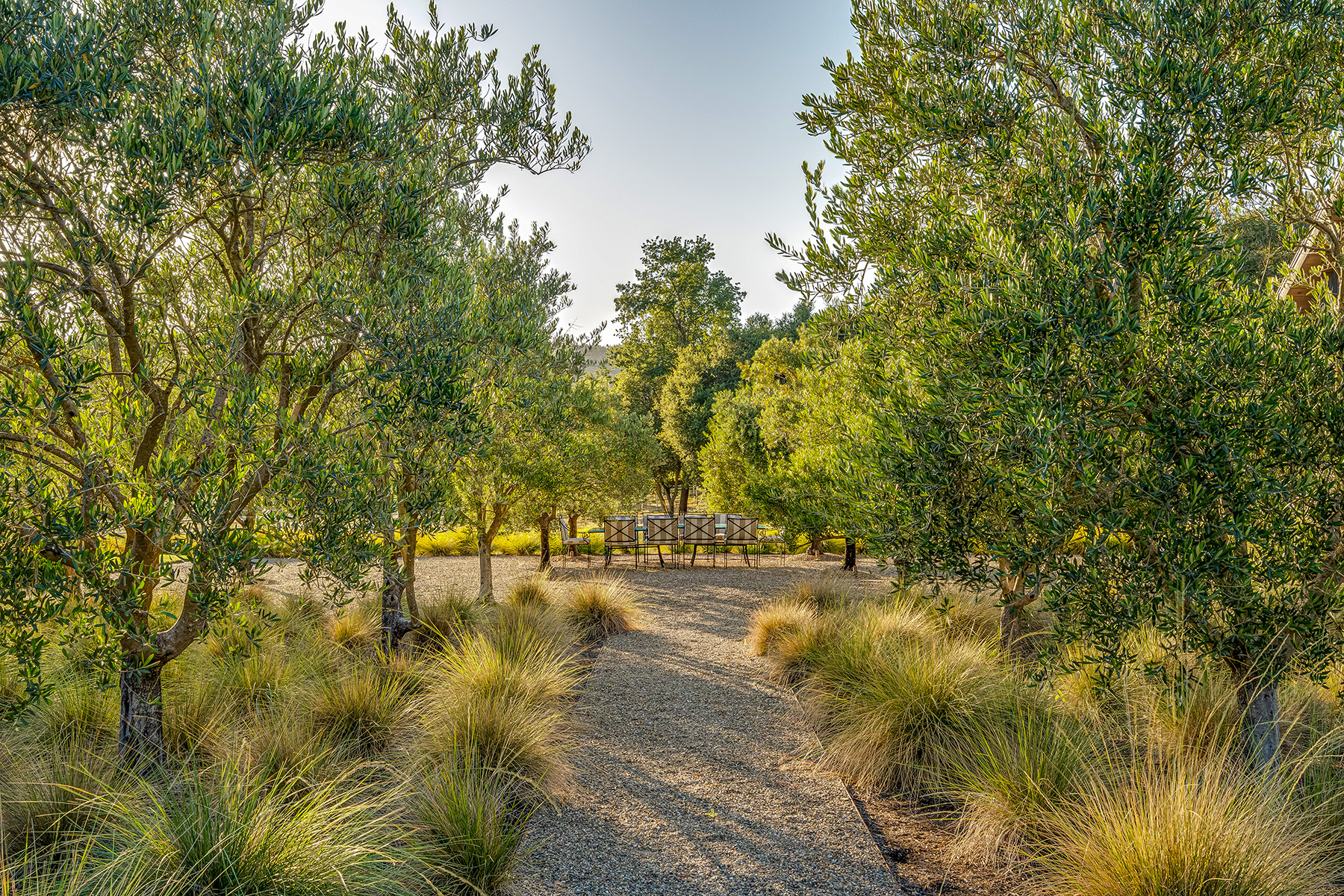 D10 - 222-DSC07941_ENF