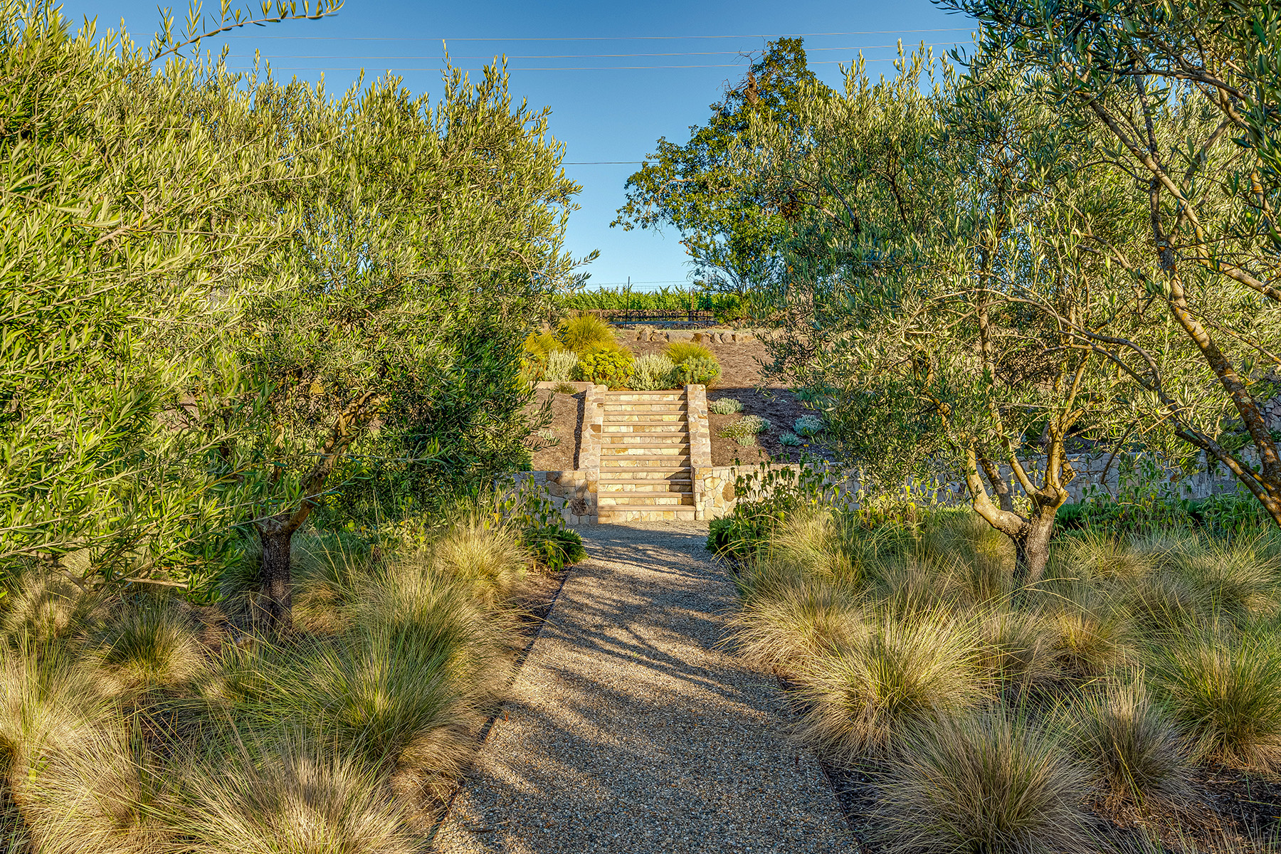 D11 - 225-DSC07950_ENF