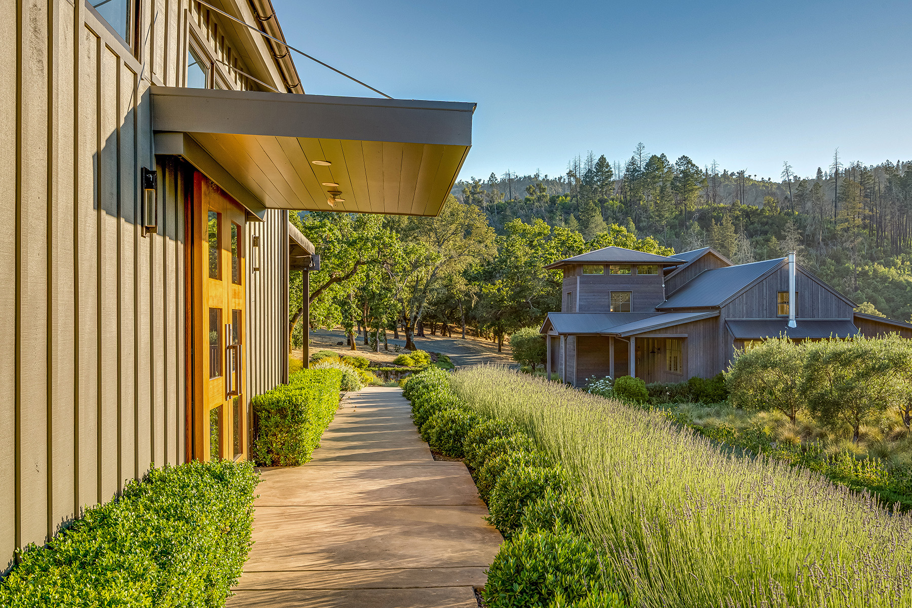 E01 - 214-DSC07917_ENF