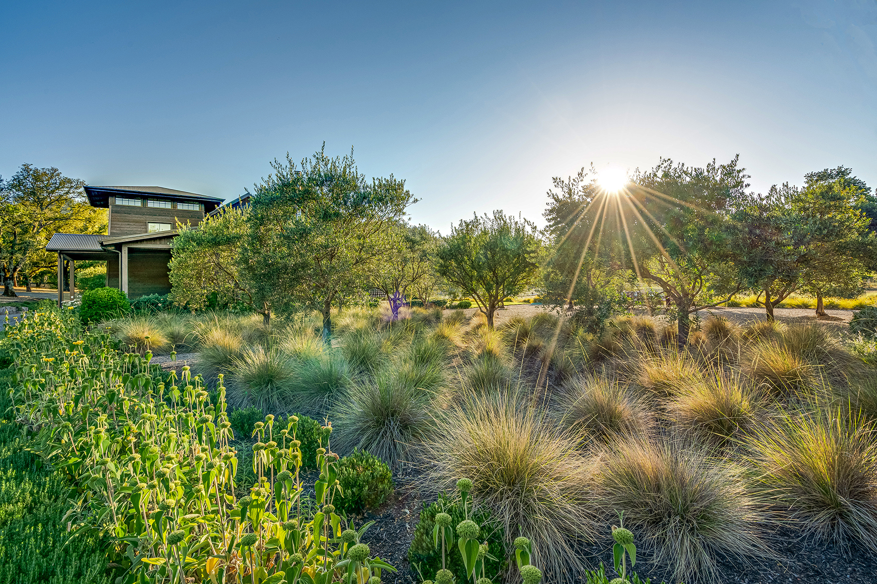 H01 - 219-DSC07932_ENFEDIT