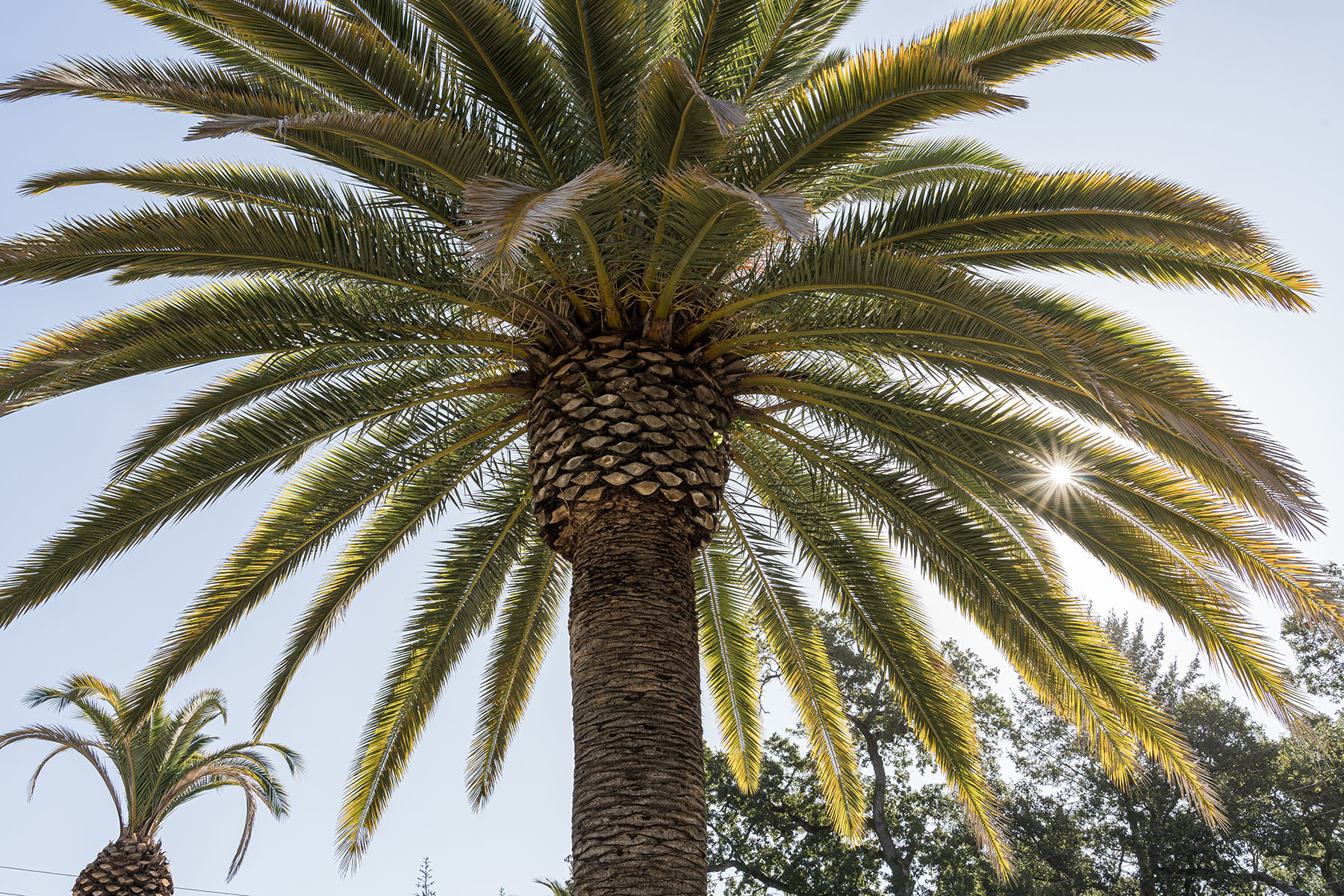 C03 - 400 Meadwood HR-77