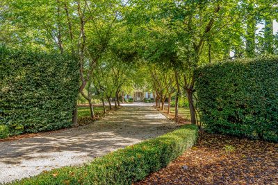 A01 - DSC08933_EDITED2