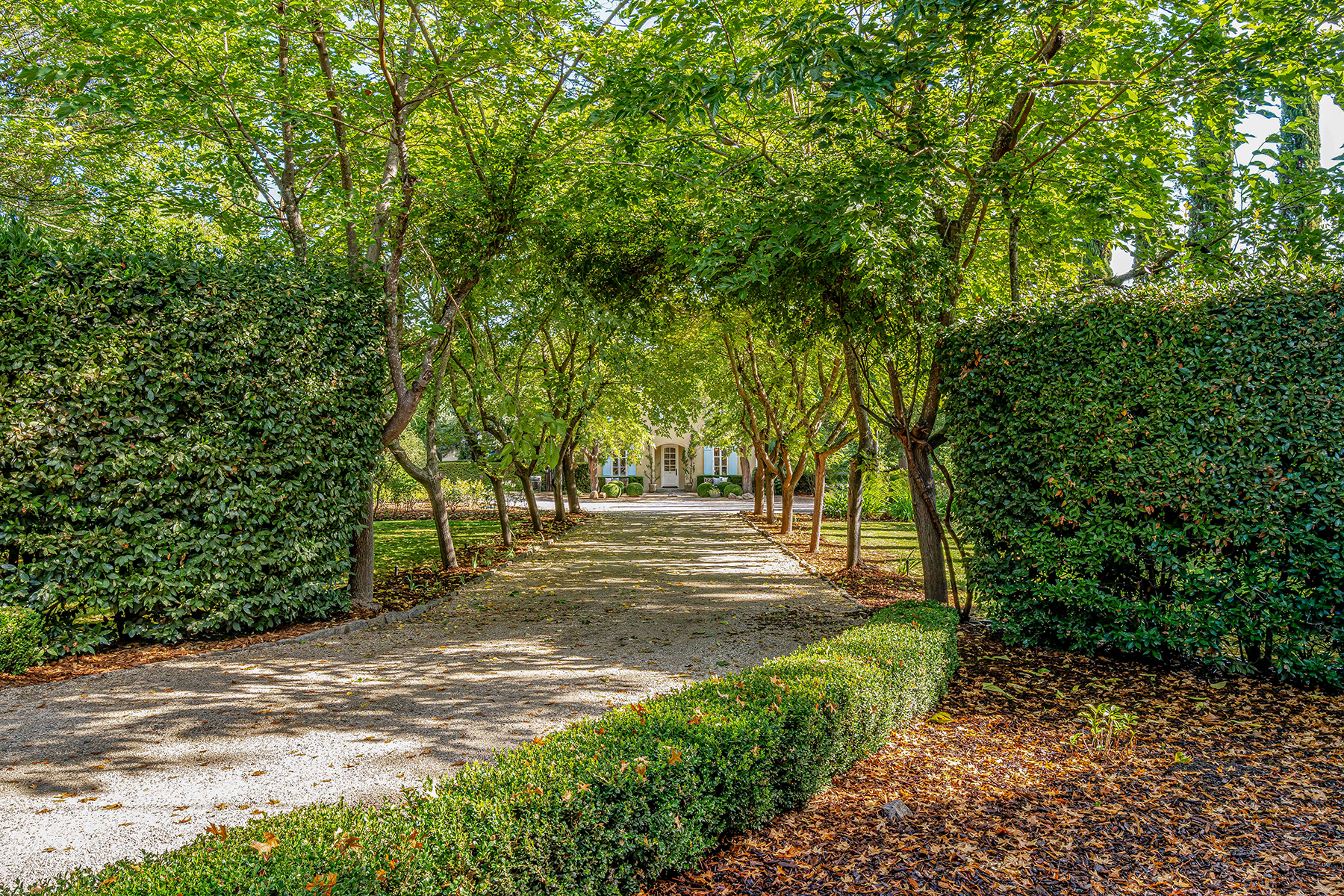 A01 - DSC08933_EDITED2