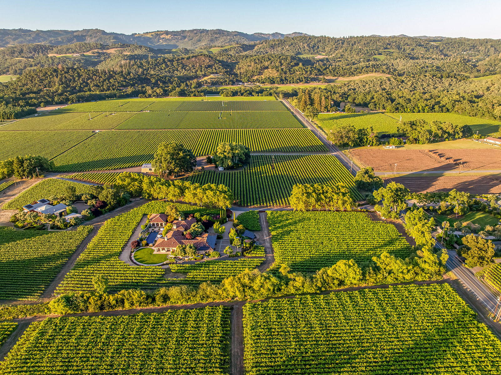 H08 - 033-DJI_0874