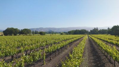 04 - HoxeyPhotos_5-1-26057_EDITED