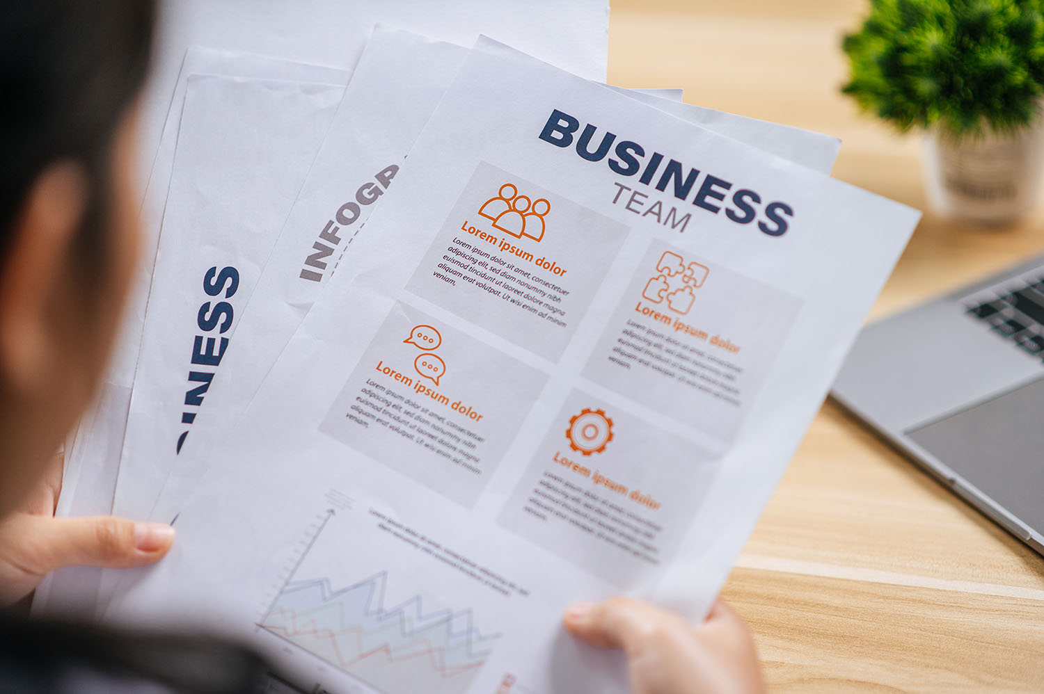 What Are DOLE Packages and Why Does Your Business Need Them