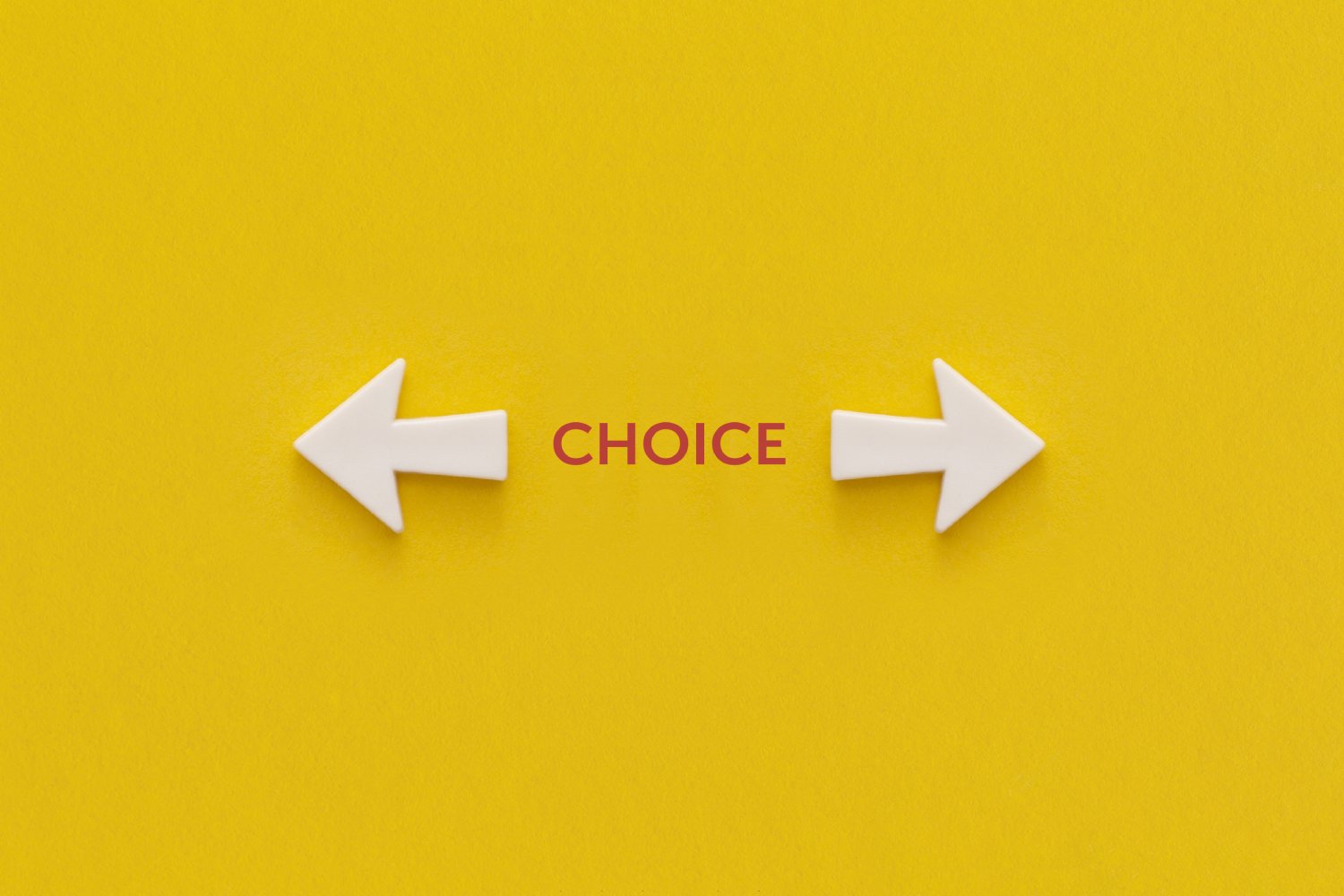 Company Dissolution vs Business Suspension: Which Is Right for You?