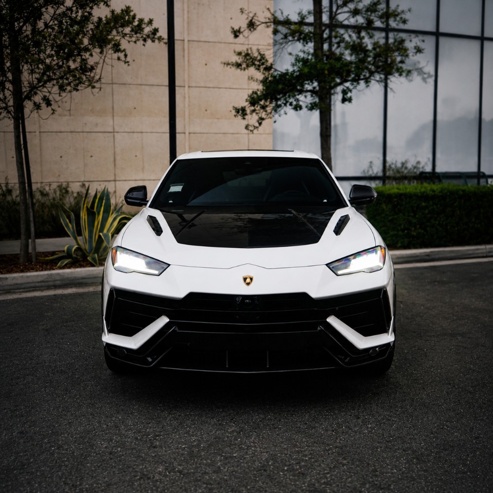 Vehicle Rentals