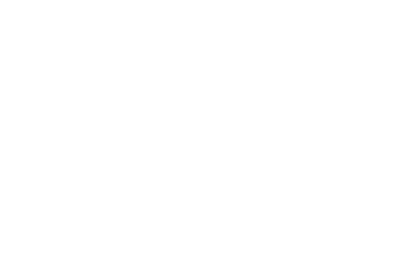 Tom Arnold - Header Logo