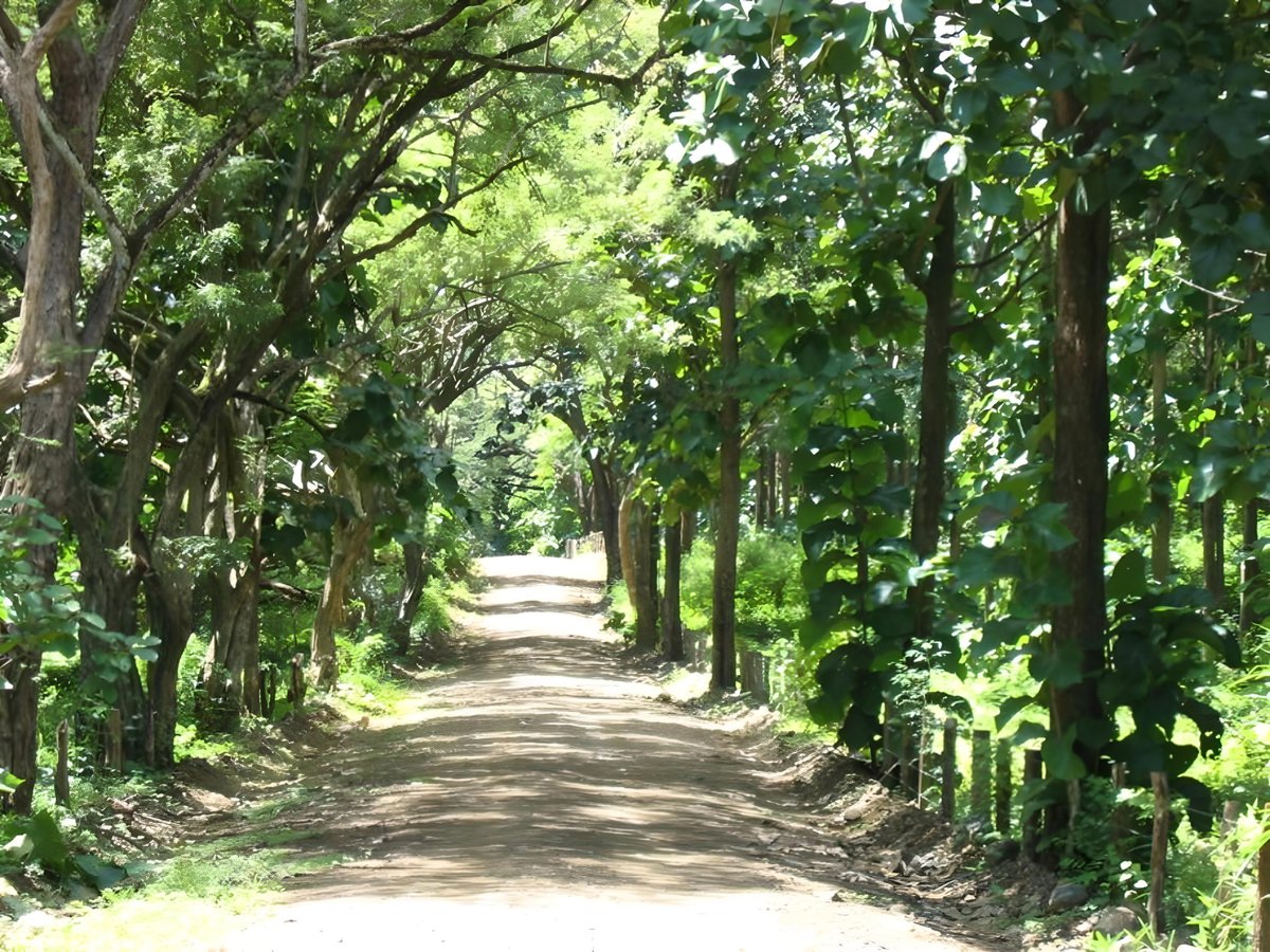 Similar Image