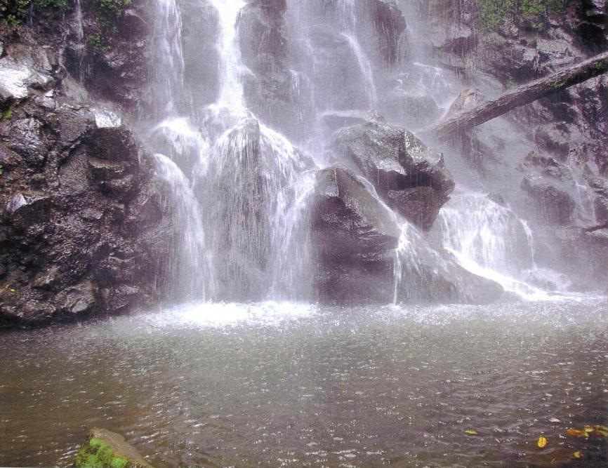 Similar Image