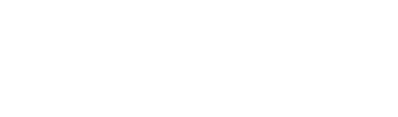 Banner Logo