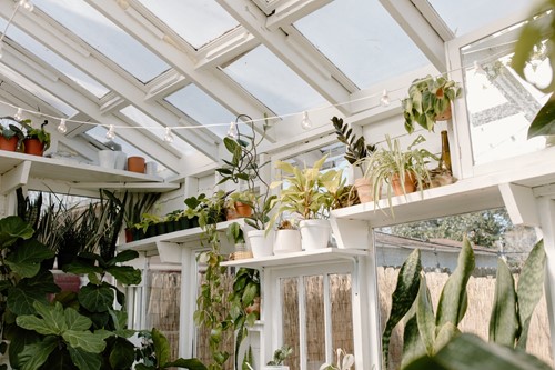 Why You Should Consider an Attached Greenhouse