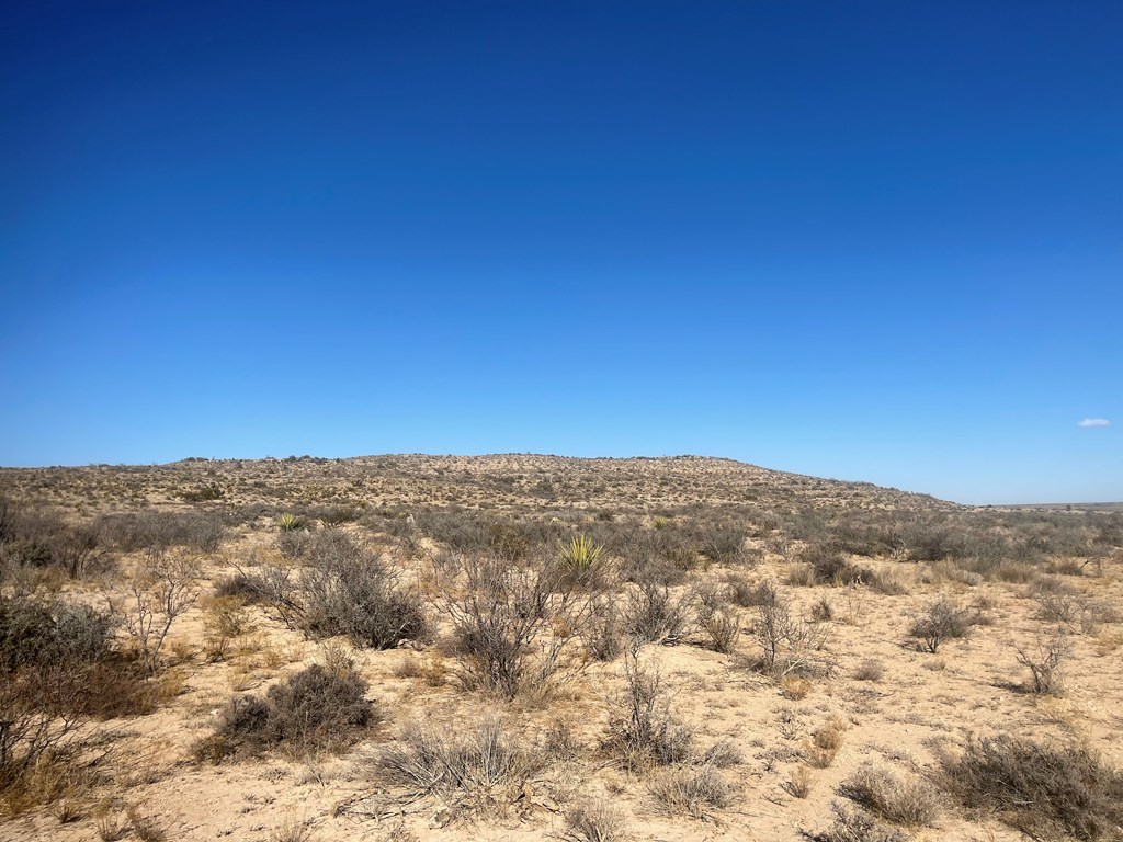 Listing Main Thumbnail #1