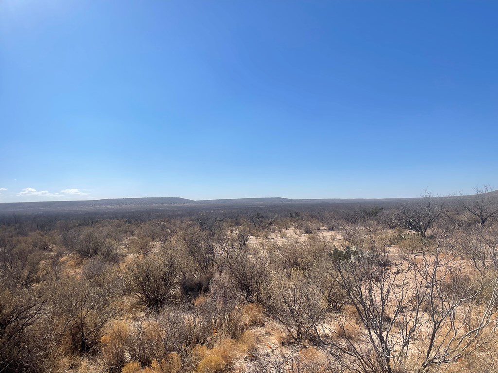 Listing Main Thumbnail #1