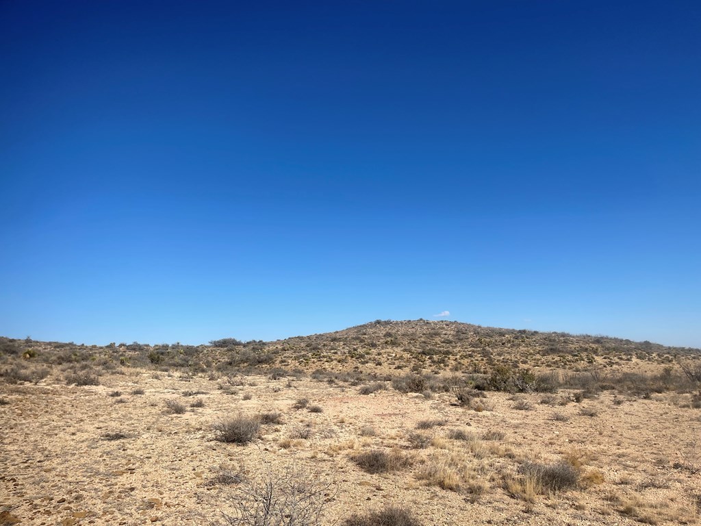 Listing Main Thumbnail #1