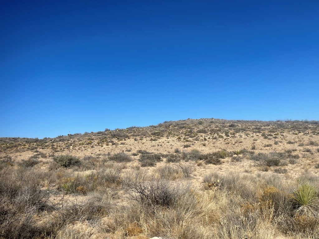 Listing Main Thumbnail #1