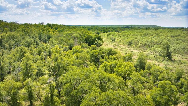 Listing Main Thumbnail #1